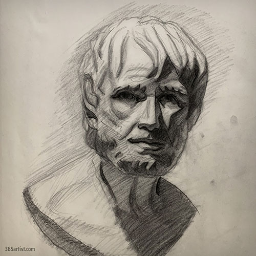 bust drawing