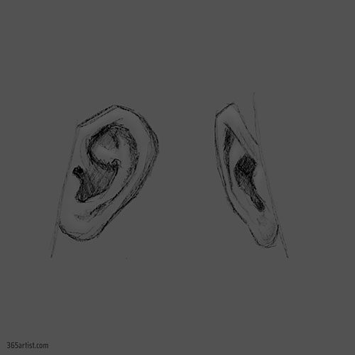 ears drawing practice