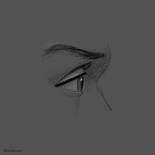 eye profile drawing practice