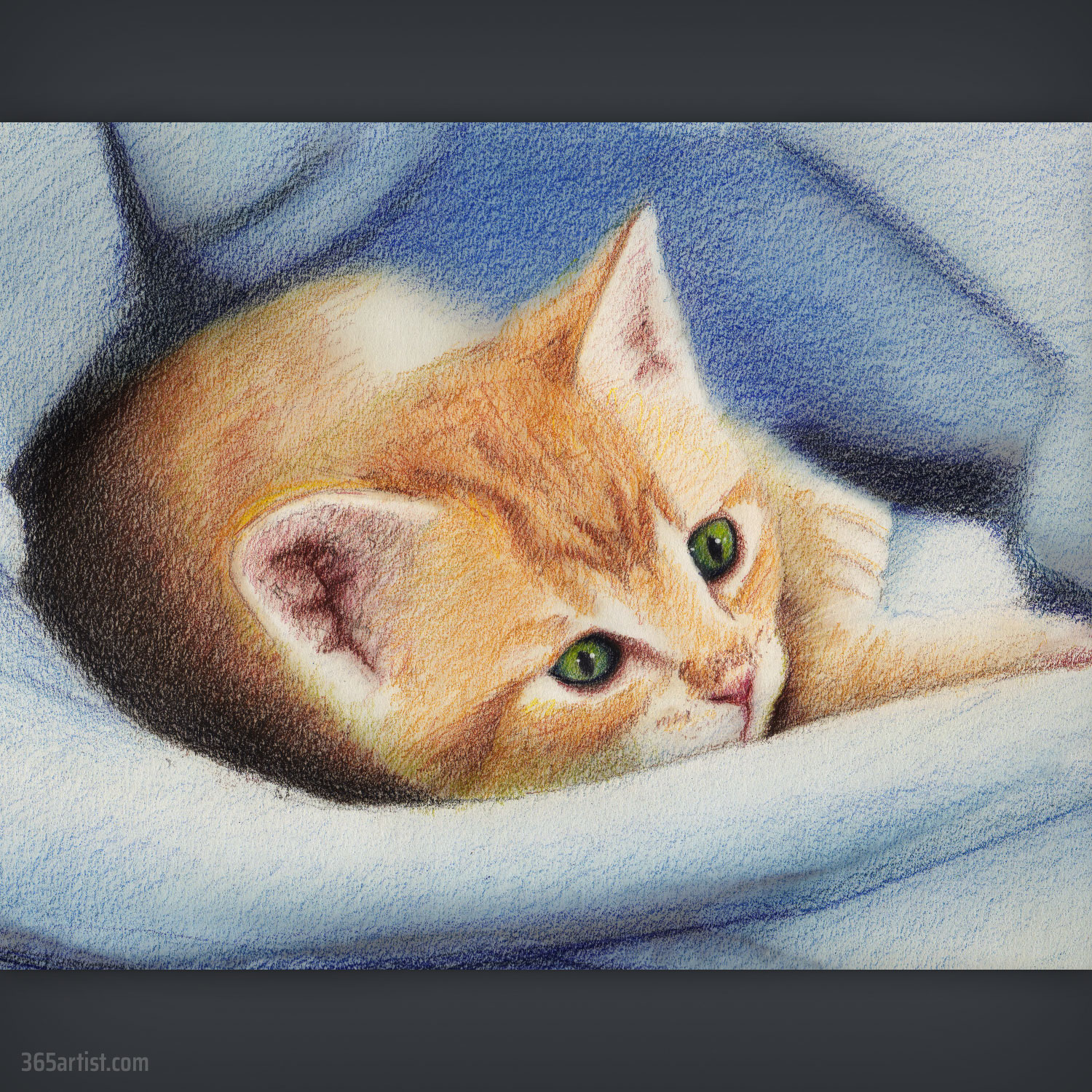 colored pencil drawing of a kitten