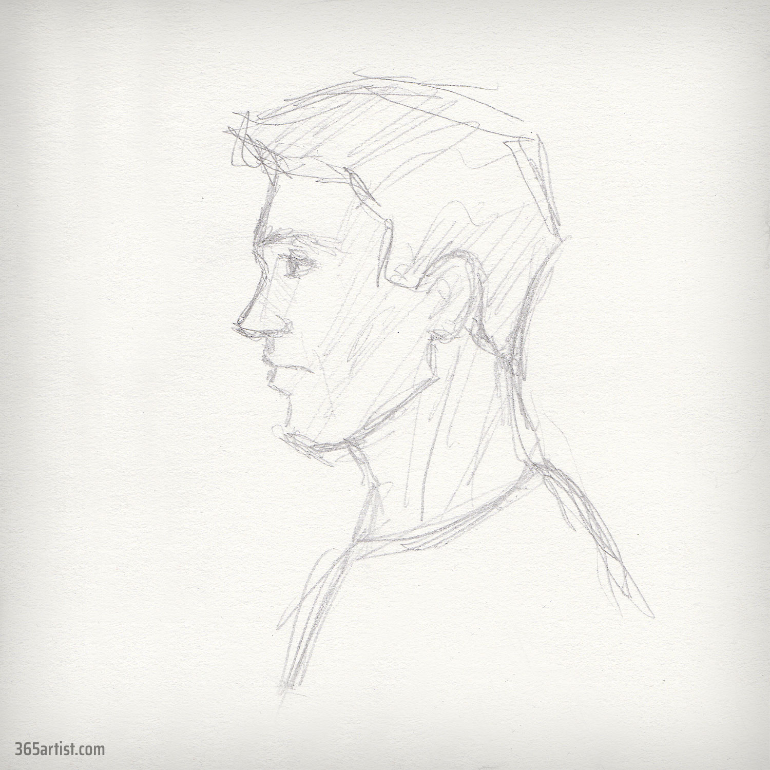 beginner profile drawing