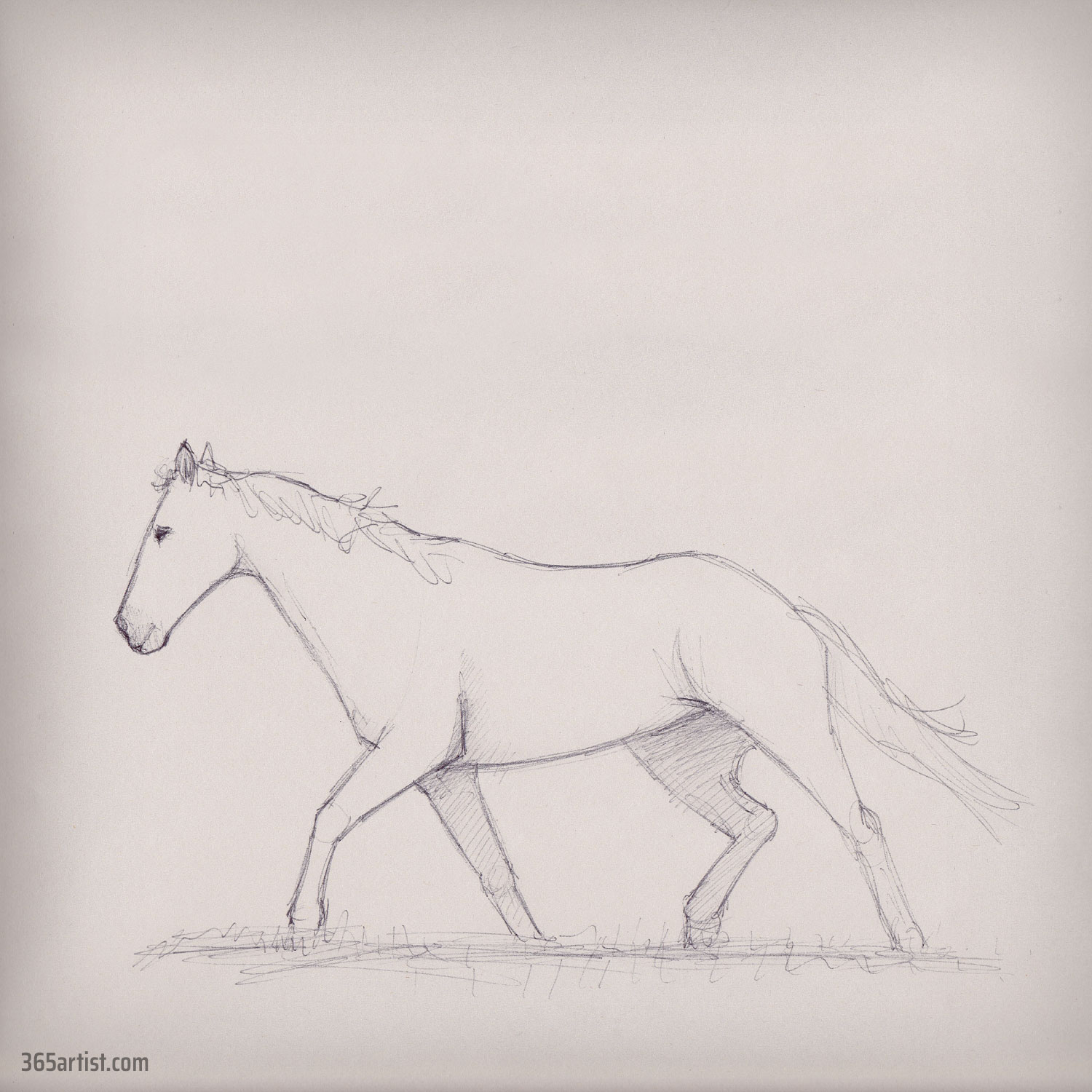 pen drawing of a mustang horse