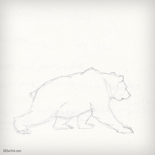 drawing of a bear