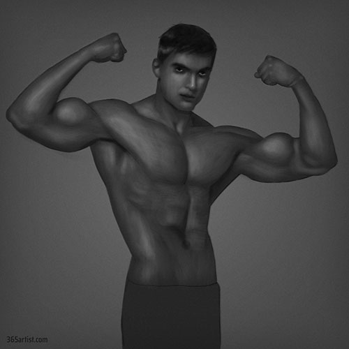 digital painting muscle shading